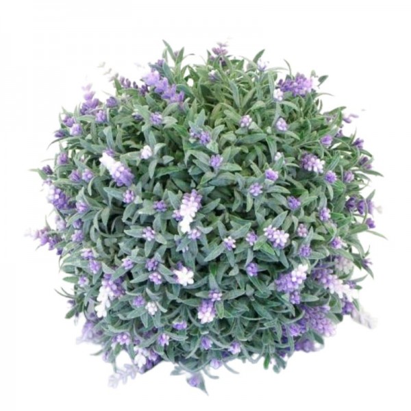 Okrasna krogla sivka 27 cm